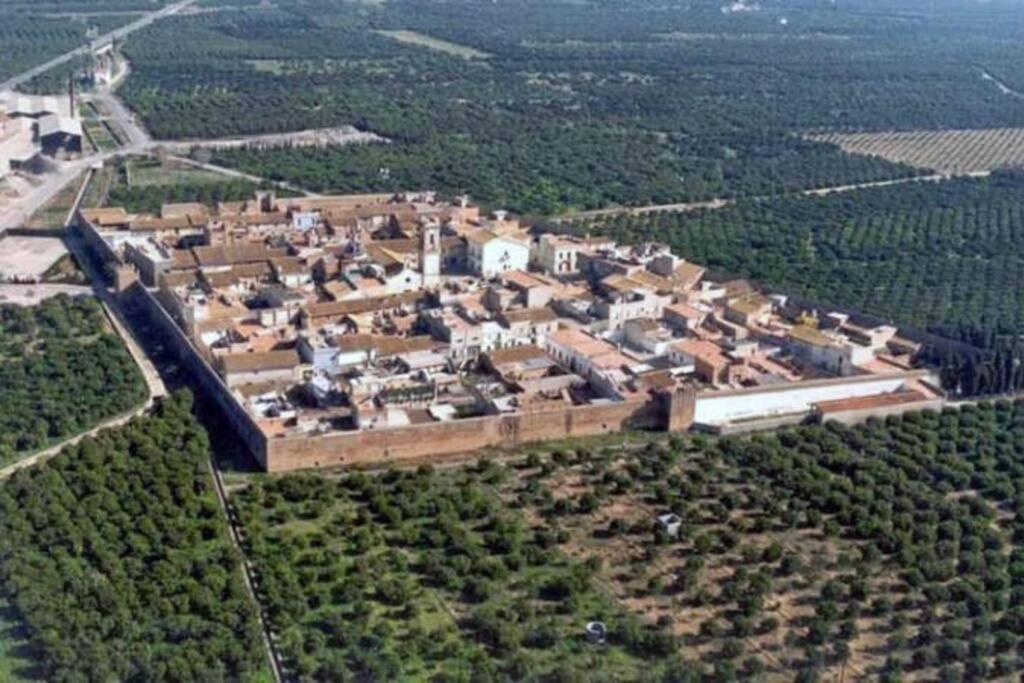 Apartamento El Faro Playa Nules كاستيون ذي لا بلاند المظهر الخارجي الصورة